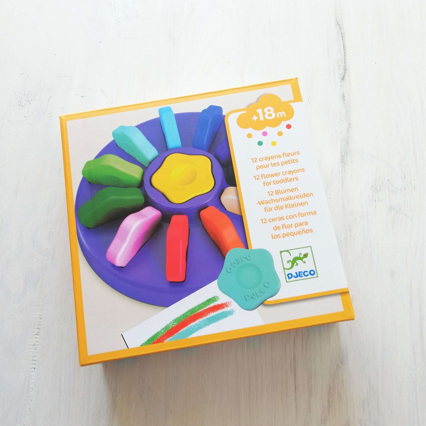 12 Lápis de Cera em Formato Flor